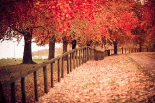 Sloth (USA-2) : 5-9-14